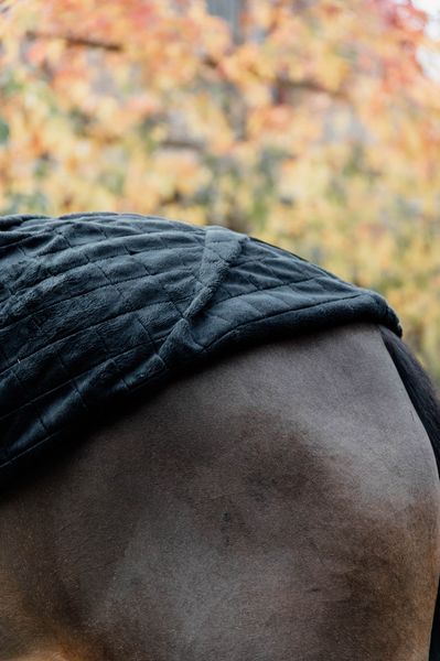 Hovedbilde Kentucky Stable Rug 0gr