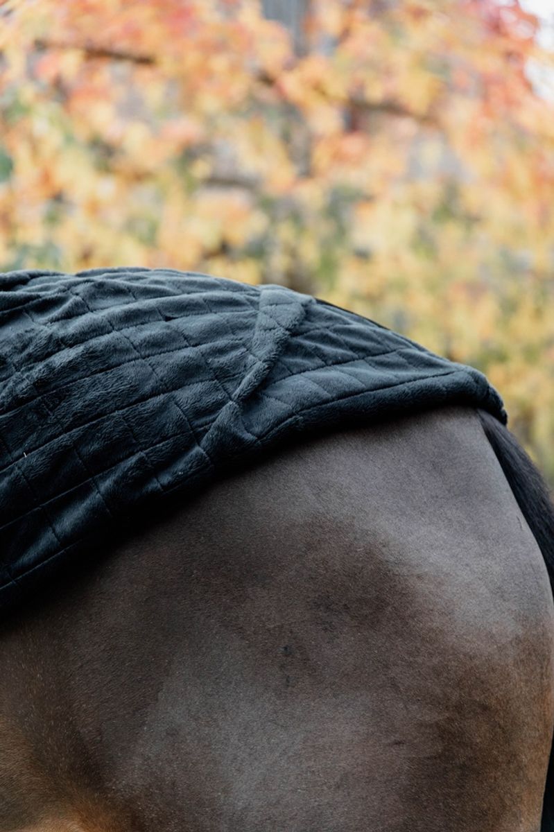 Kentucky Stable Rug 0gr