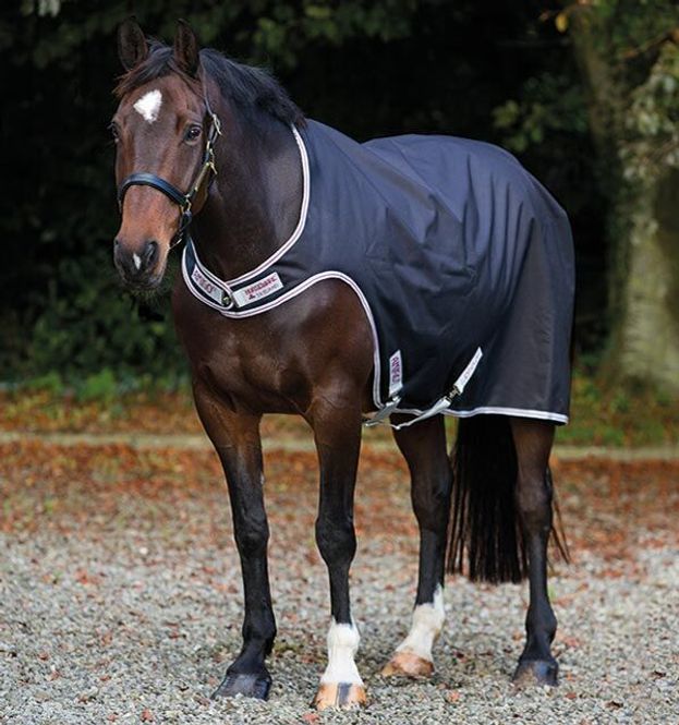 Hovedbilde Amigo Walker - 100g
