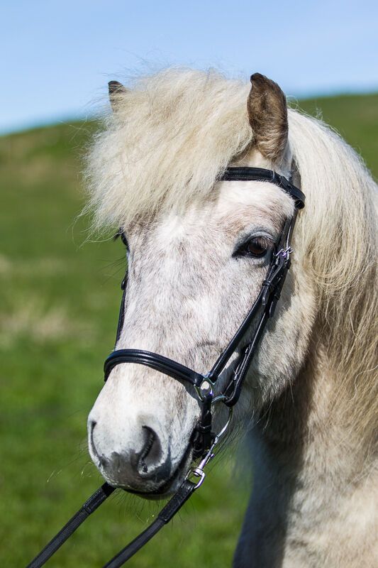 Eques Bølge-formet Pannebånd i Sort Lær