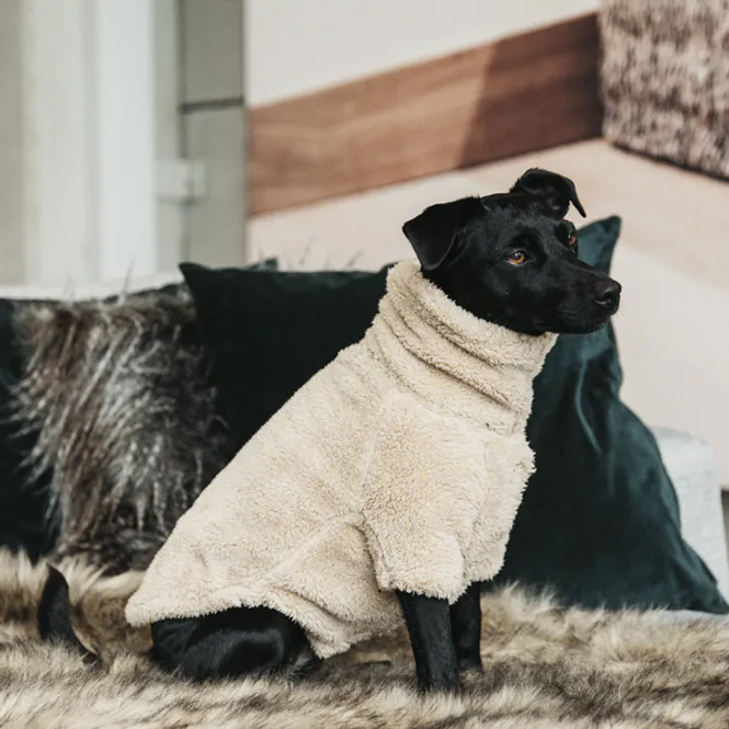 Hovedbilde Kentucky Dog Sweater Teddy Fleece