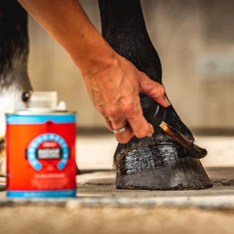 CDM Daily Hoof Dressing