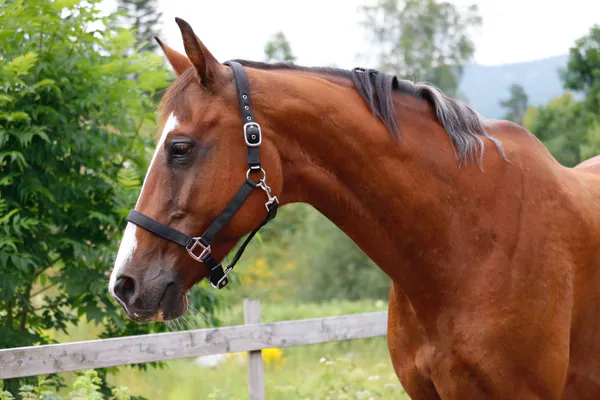 Hovedbilde SE Design Nylongrime