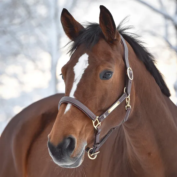 Hovedbilde By Equalityline Lærgrime