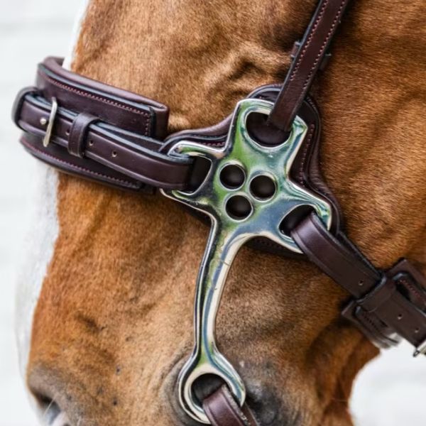 Hovedbilde Dyon Hackamore