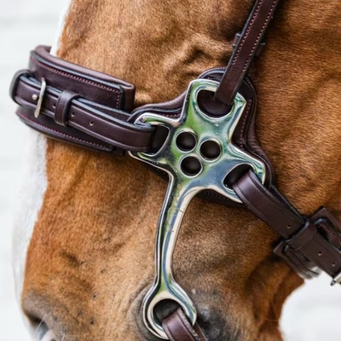 Hovedbilde Dyon Hackamore