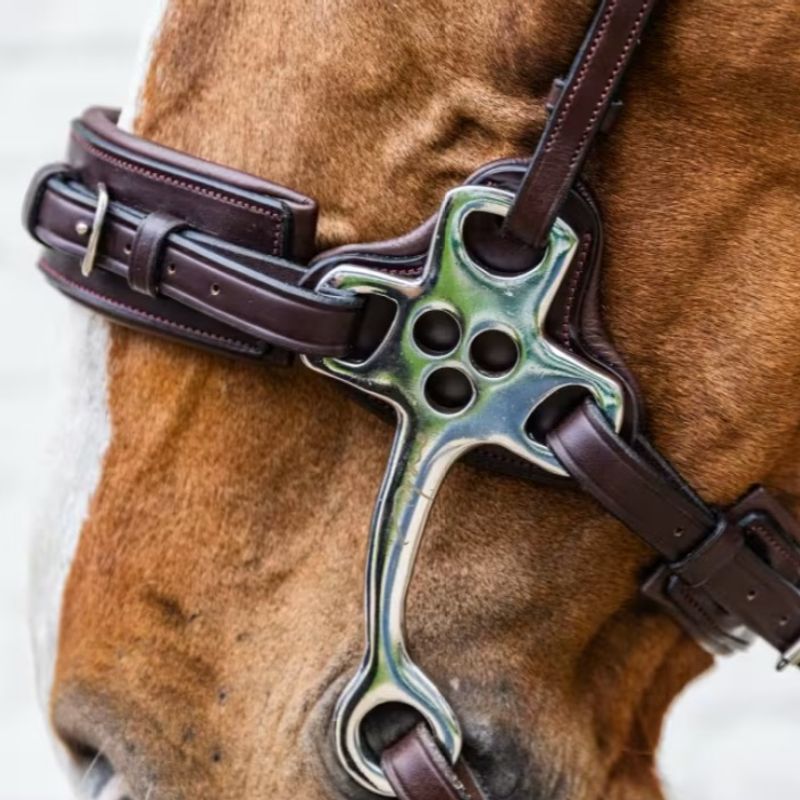 Dyon Hackamore