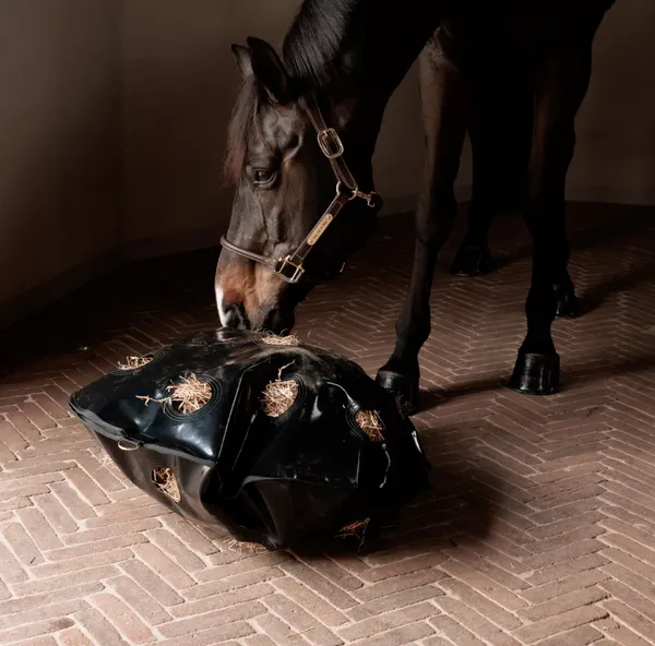 Hovedbilde Grooming Deluxe Play & Haybag Slow Feeder - 110cm