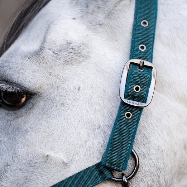 Hovedbilde Horseware Grime og Leietau - Dynasty Green