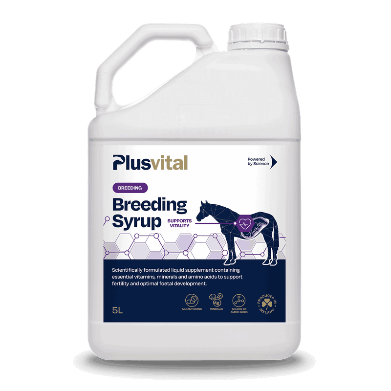 Plusvital Breeding Syrup 5L