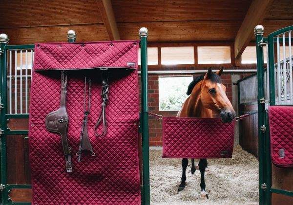 Hovedbilde Kentucky Stable Guard