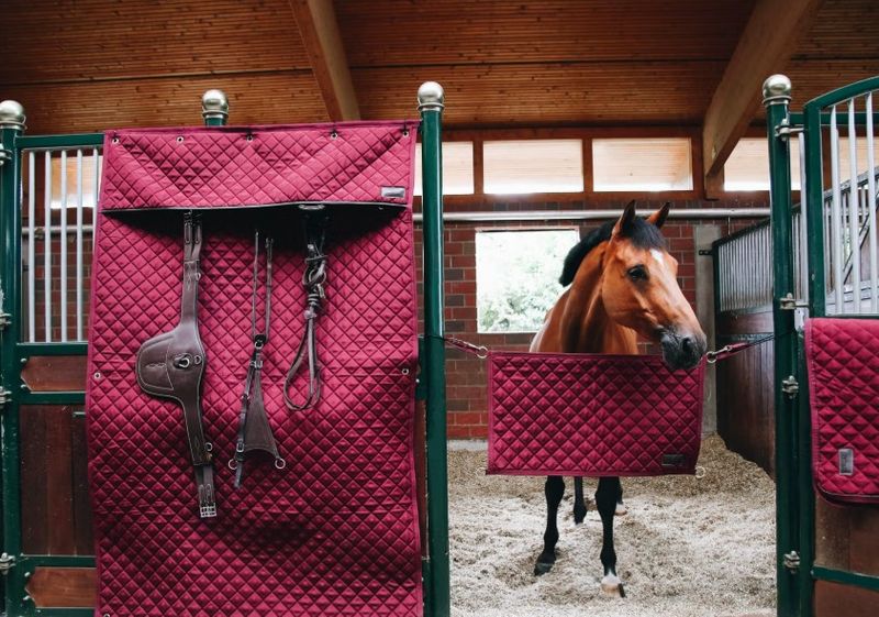 Kentucky Stable Guard