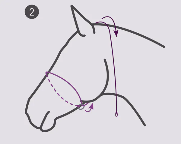 Hovedbilde Grime til fotografering