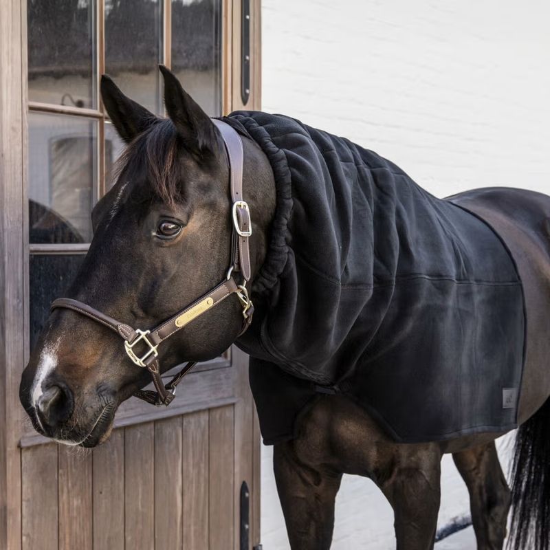 Kentucky Heavy Fleece Scarf