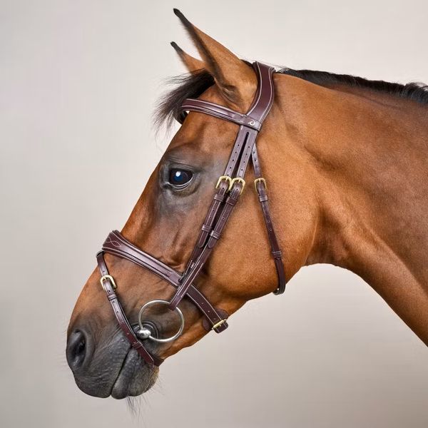 Hovedbilde Dyon Collection Anatomisk hodelag med mønstersøm