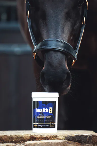 Hovedbilde NAF HealthE - 600gr