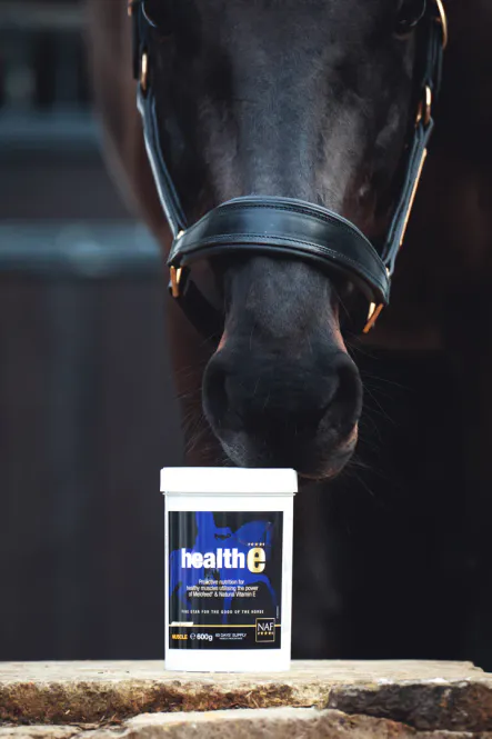 Hovedbilde NAF HealthE - 600gr