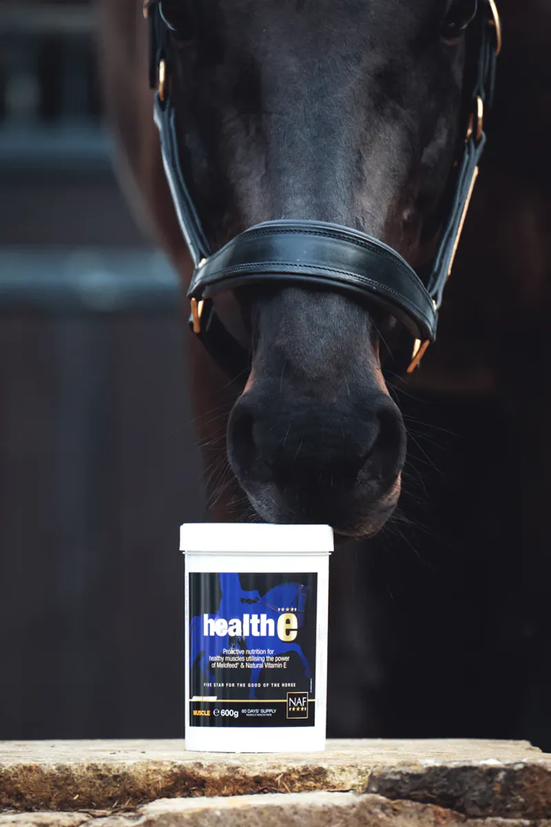 NAF HealthE - 600gr
