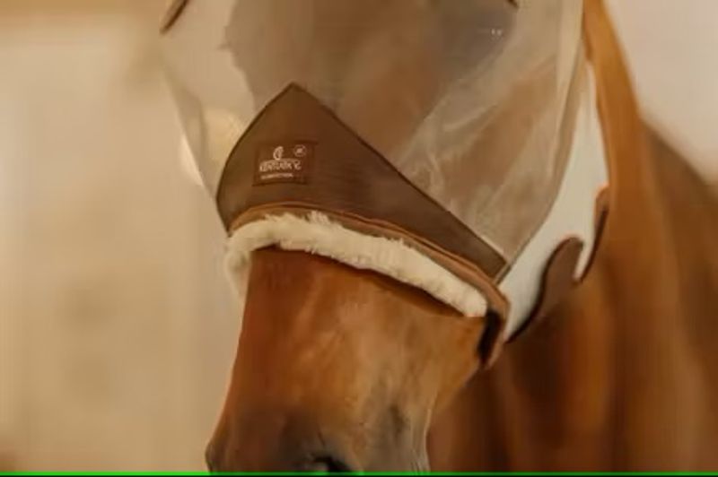 Kentucky Fluemaske Skin Friendly