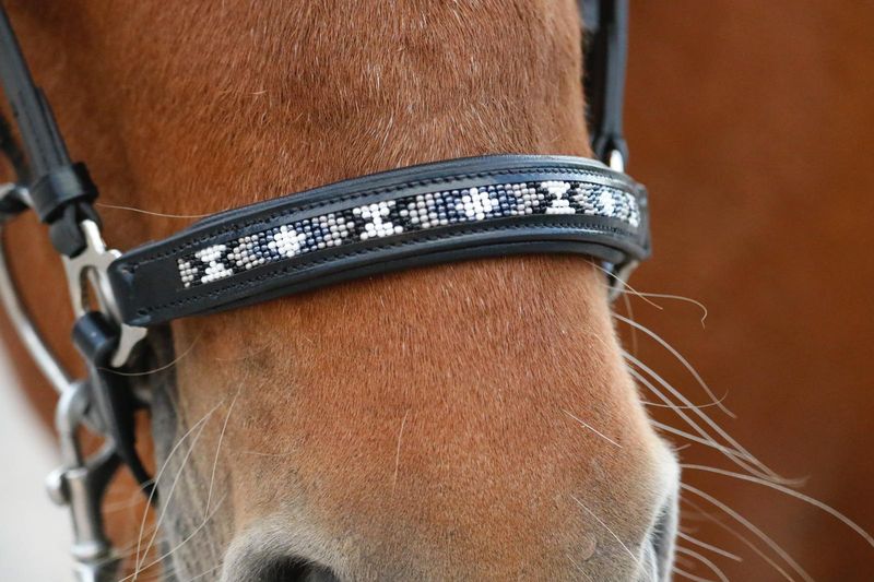 SE Design Loki Hodelag