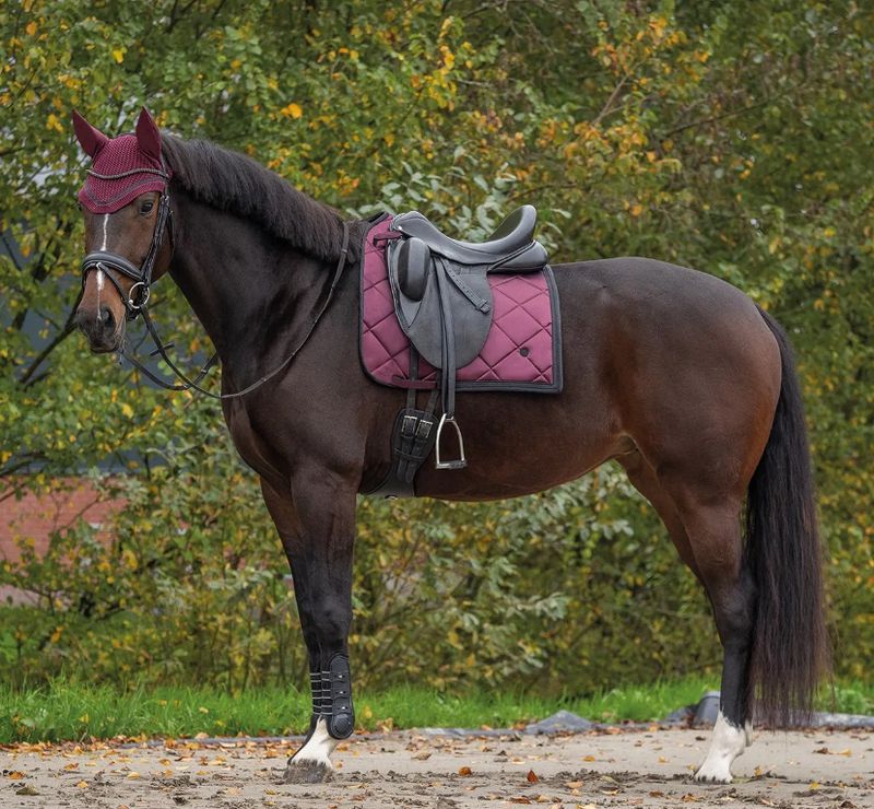 QHP Zahra Ørehette
