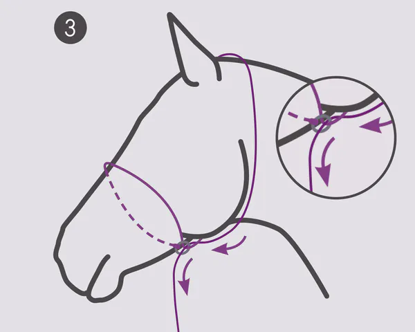 Hovedbilde Grime til fotografering