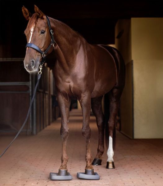 Hovedbilde Waldhausen Health + Care Balance Pads