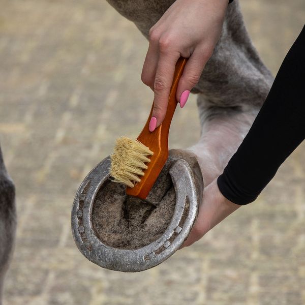 Hovedbilde Royal Børste sett - Brun