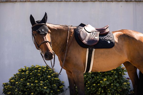 Hovedbilde Samshield Flyshield Embroidery Ørehette - Sort