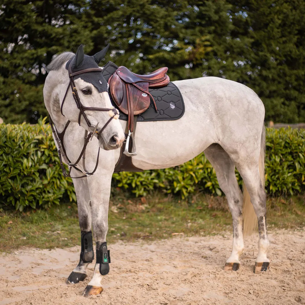 Samshield Spineshield Sprang Schabrack - Anthracite Grey