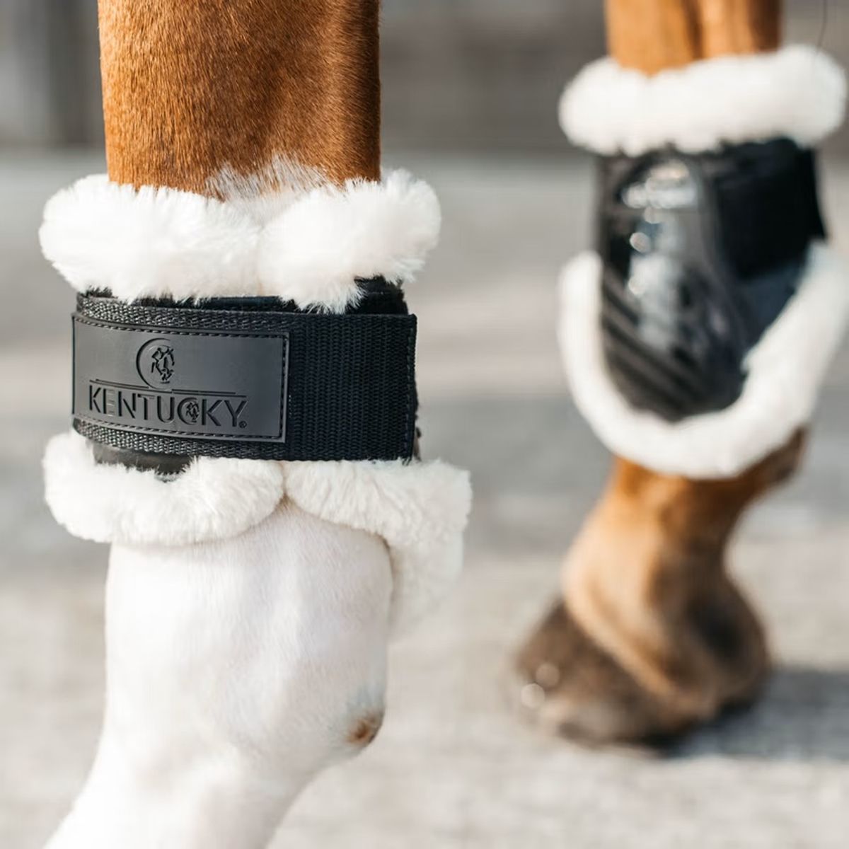 Kentucky Vegan Sheepskin Young Horse Fetlock Boots