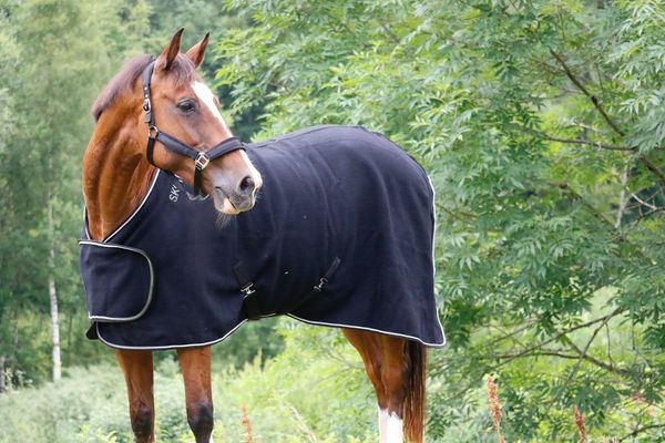 Hovedbilde SE Design Show Rug i Ull