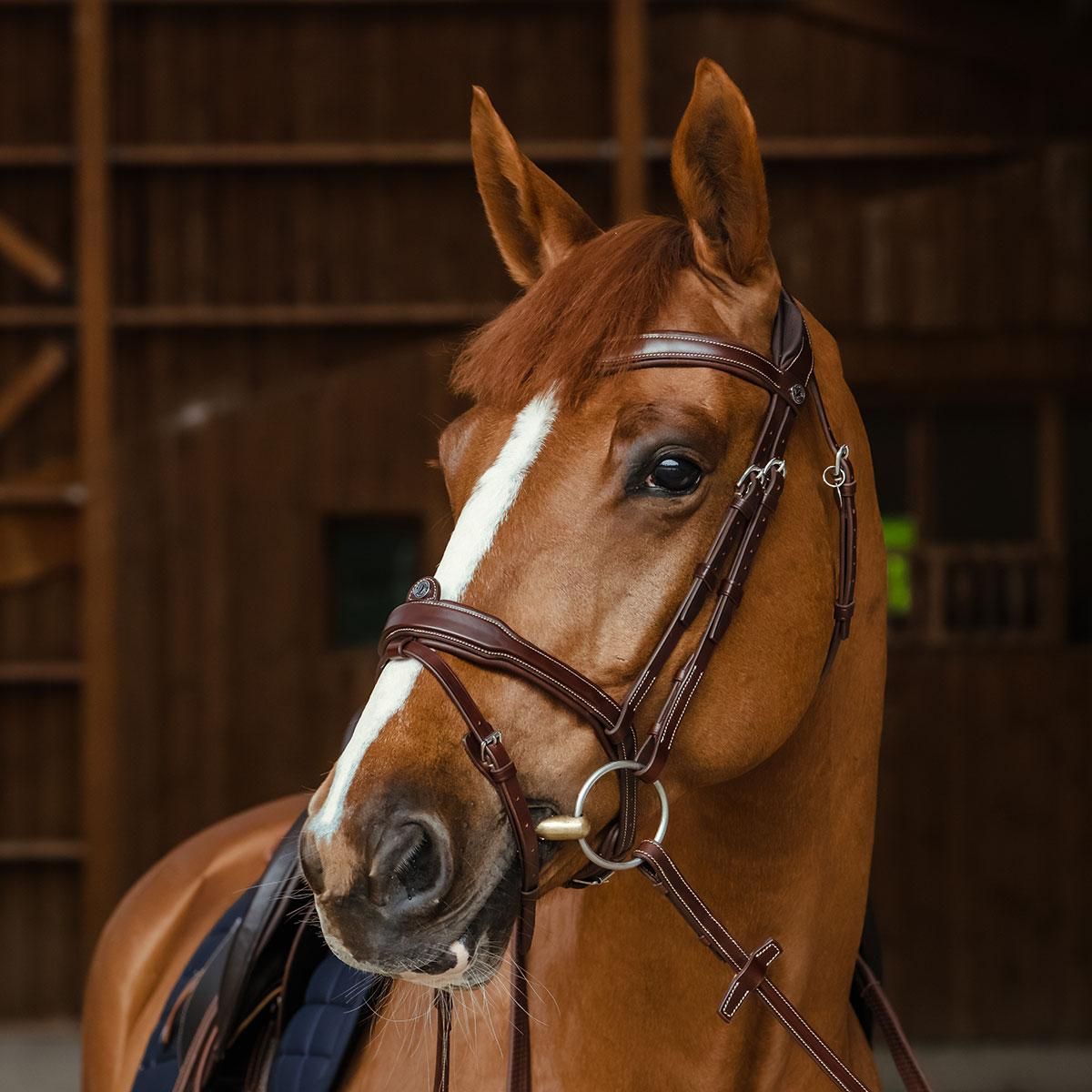 Antares Signature Sport Hodelag