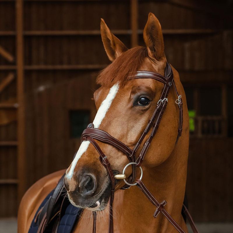 Antares Signature Sport Hodelag
