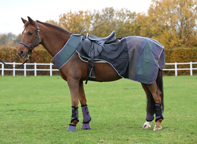Hovedbilde Rainbow Refleks Ridedekken 