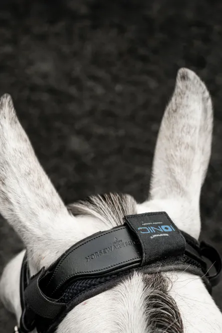 Hovedbilde Horseware Ionic Poll Cover