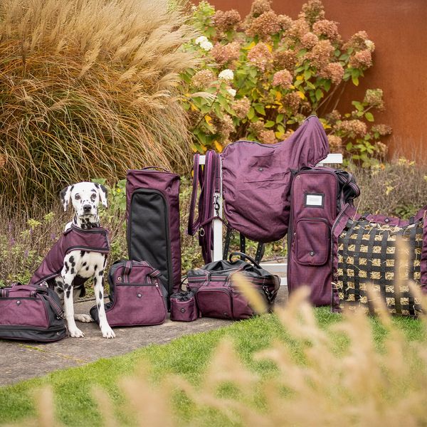 Hovedbilde QHP Støvelbag