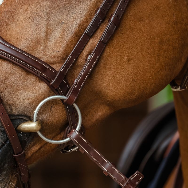 Antares Signature Sport Hodelag