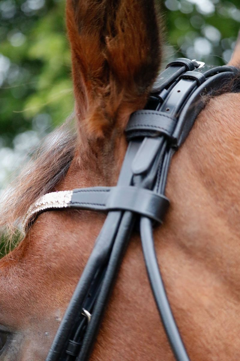 SE Design Månestein Rundsydd Kandar Hodelag