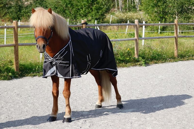 SE Design 1200D Islandshest dekken m/ull lining