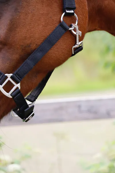 Hovedbilde SE Design Nylongrime