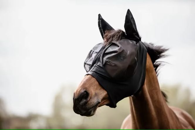 Hovedbilde Kentucky Fluemaske Slim Fit