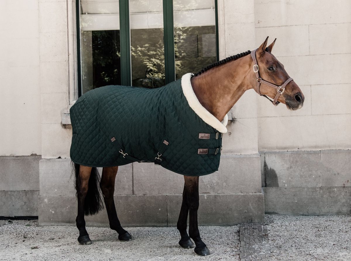 Kentucky Show Rug 160gr