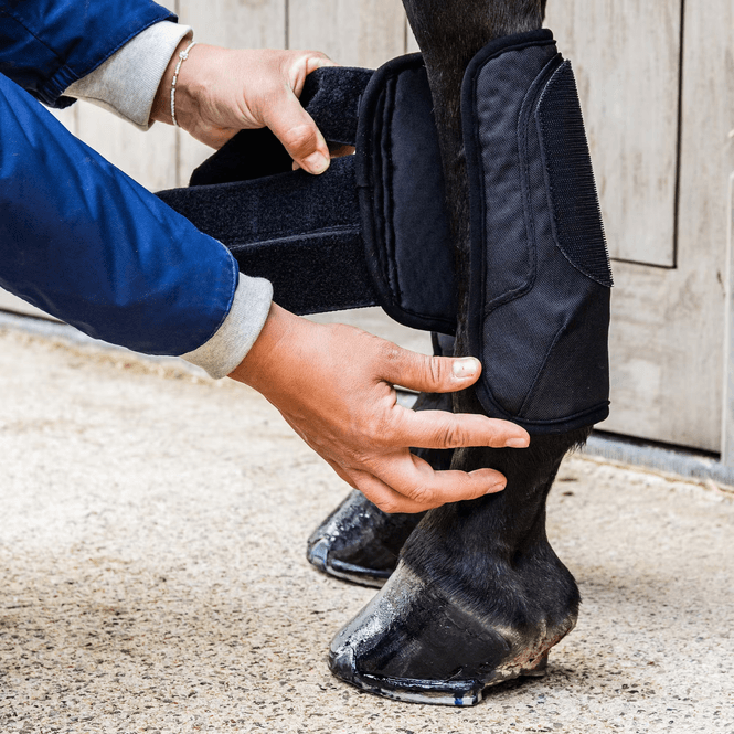 Hovedbilde Kentucky Eventing Boots 3D Air Flow - Fremben