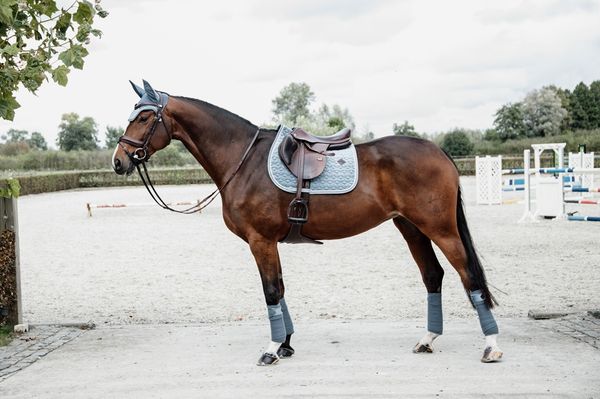 Hovedbilde Kentucky Velvet Sprang Schabrak