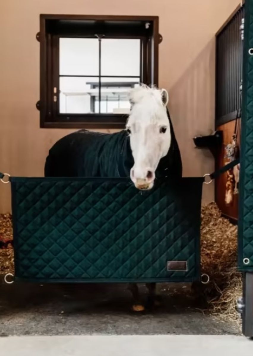 Kentucky Stable Guard