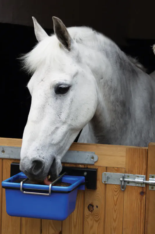 Horslyx Holder 5kg