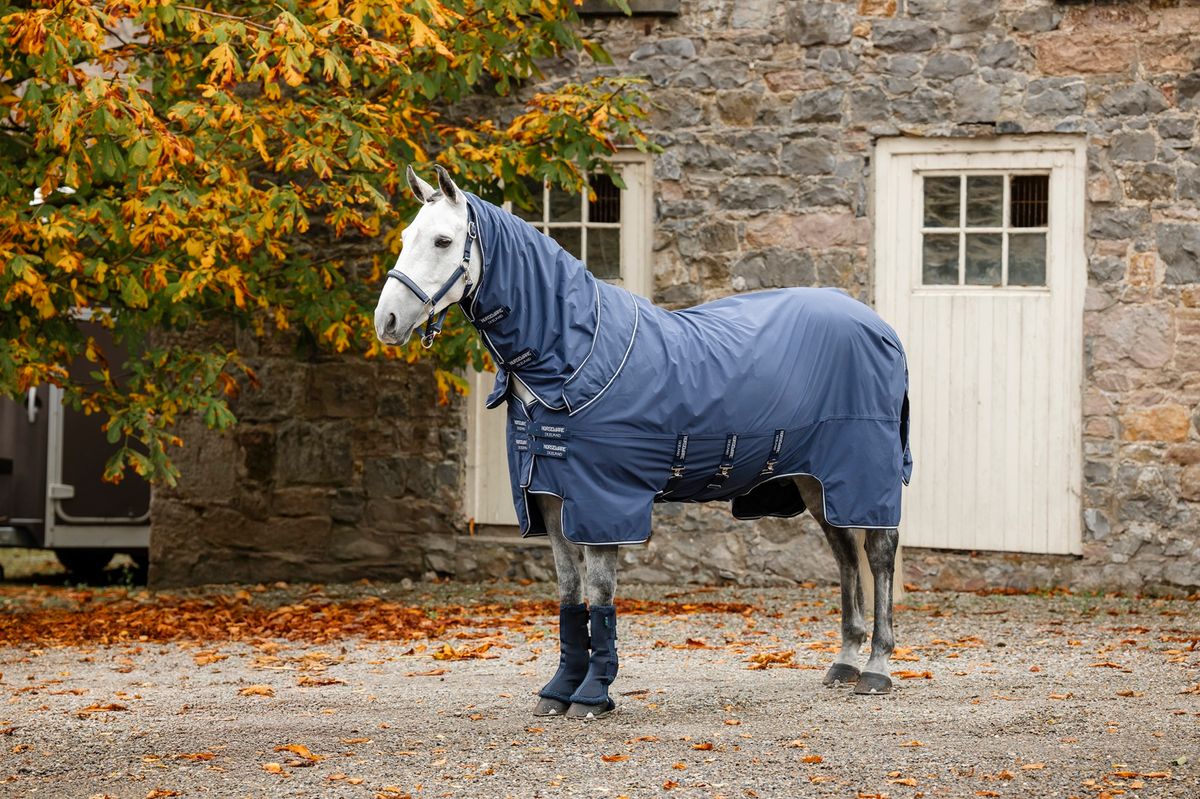 Horseware Show Ready Dekken