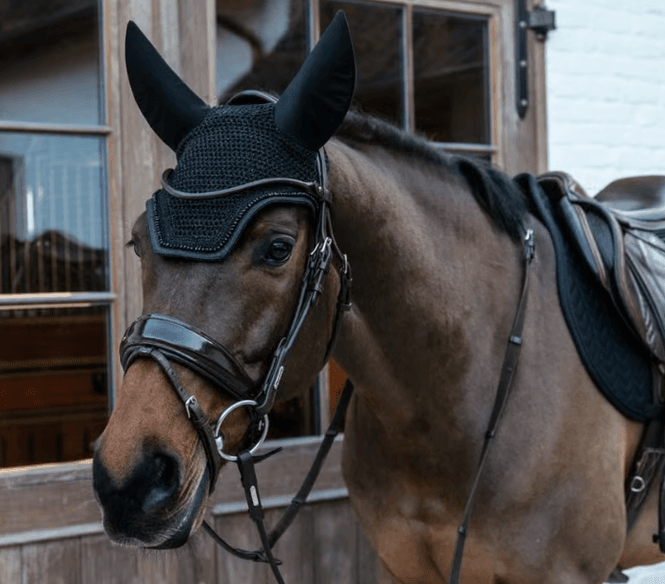 Hovedbilde Kentucky Ørehette Glitter Soundless