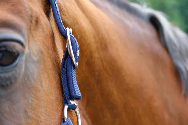 Hovedbilde SE Design Nylongrime